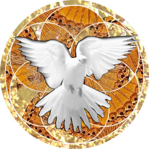 Puedes escribirnos a 3historiasdelfuturo@gmail.com